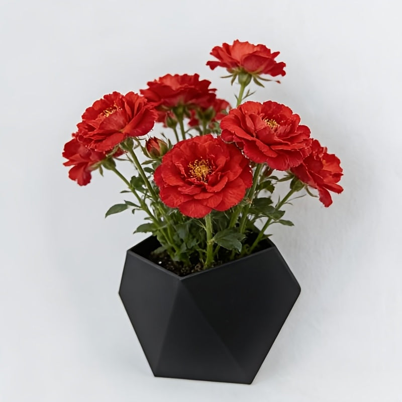 Black Hexagonal Wall Flower Pot With Mounting Holes Unique Design Home Garden Decor Wall Decoration Plant Pot Gardening Gift
