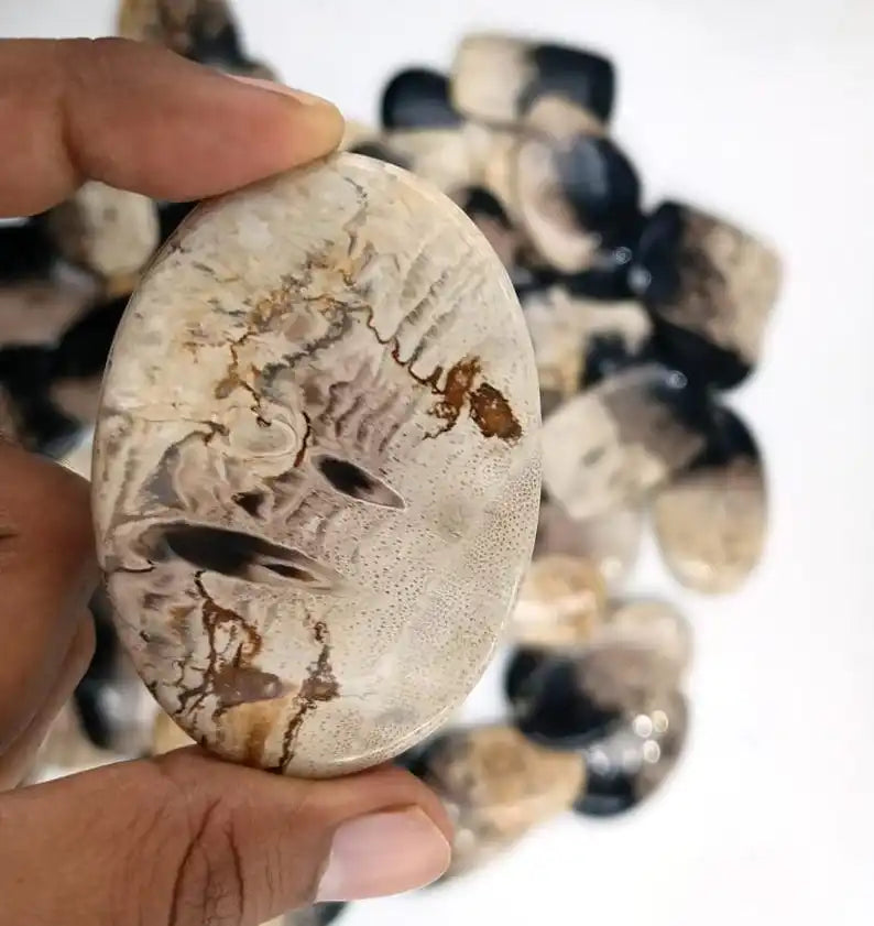 Single oval cabochon gemstone, pale beige with brown veining and dark edges