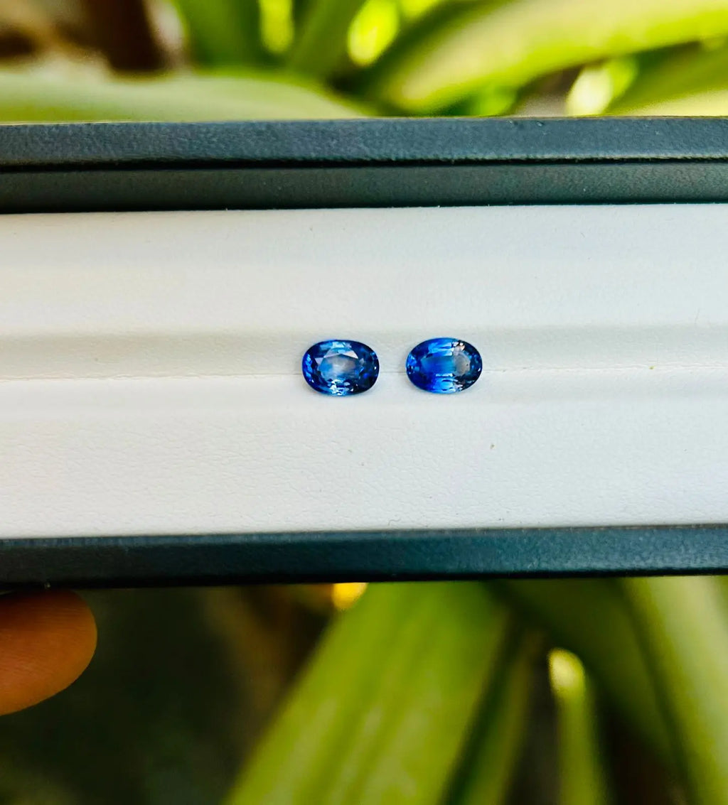 Pair of oval-cut faceted blue transparent loose gemstones