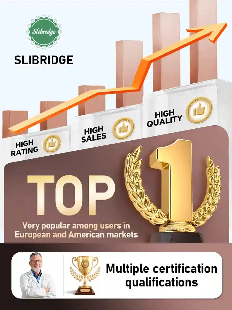 Slibridge marketing graphic showing a top 1 ranking, high sales, and professional certifications.