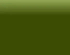Olive green luxury designer crossbody handbag with a smooth, minimalist aesthetic and premium finish.