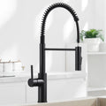 Black Kitchen Figot, Kitchen Jigger with Extractable Shower, Kitchen Sink Figger with Two Spray Functions, Stainless Steel, High-Arc Fsink