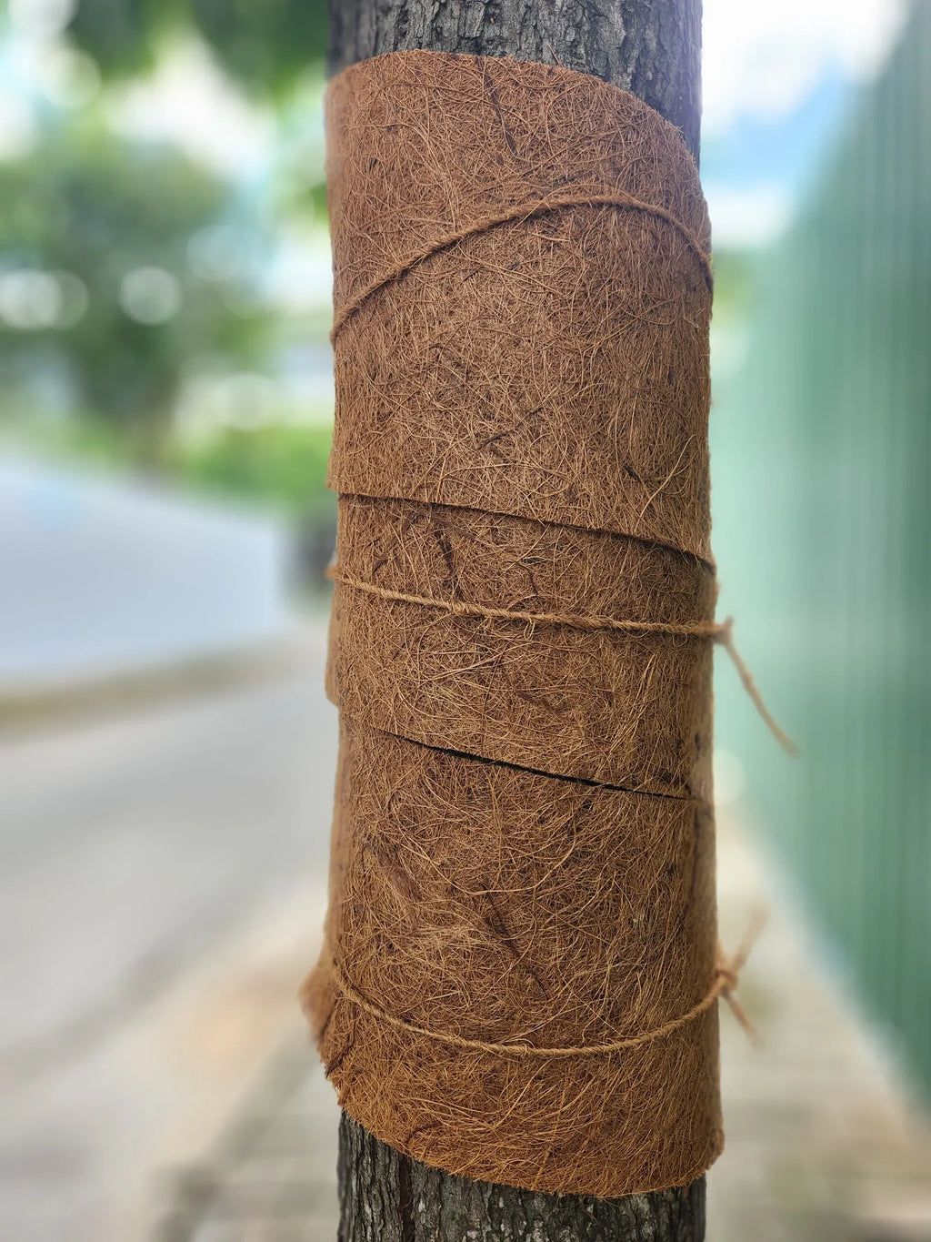 Vietnam Origin 100% Natural Coconut Fiber Bio-Degradable Waterproof Coir Sheet Tape Double Sided Hot Melt Adhesive Pressed Sheet