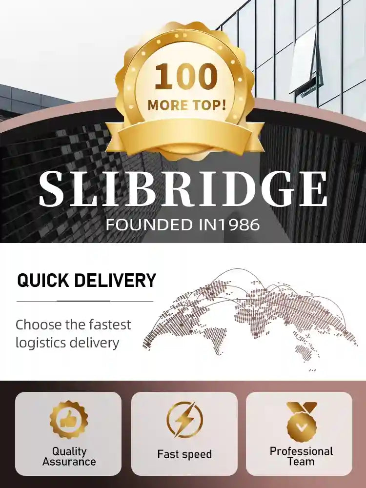 Promotional graphic for Slibridge, featuring a gold award badge, global delivery map, and business service icons.