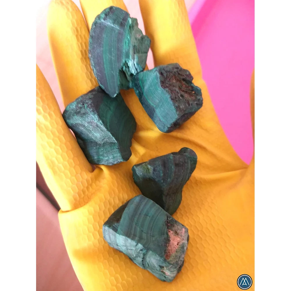 Set of raw teal-green malachite rough stones arranged in a gloved hand
