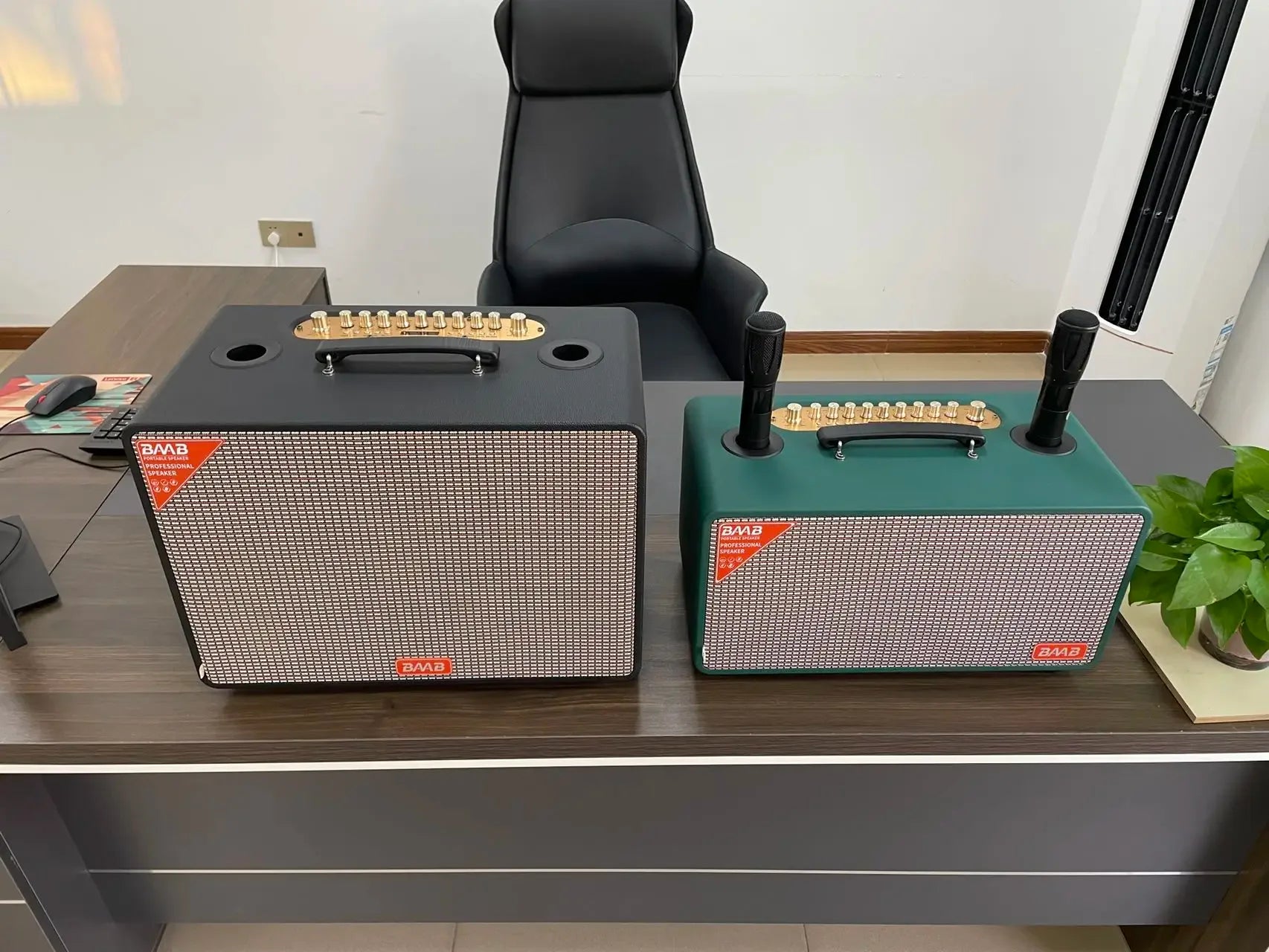 Wireless Wooden Karaoke Speaker with RGB Bass Woofer - Grass Green My Store