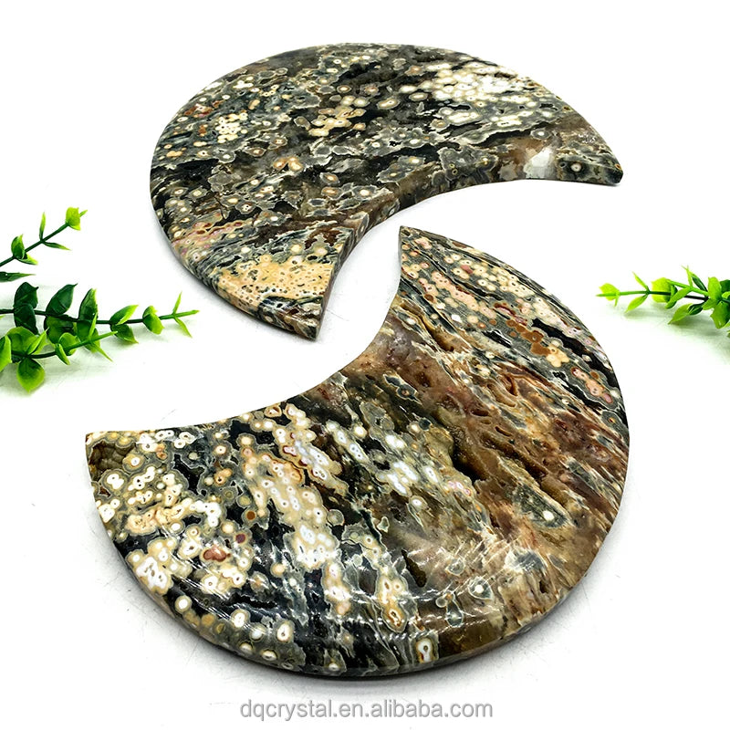 Polished ocean jasper crescent moon crystals with druzy texture in dark green and tan