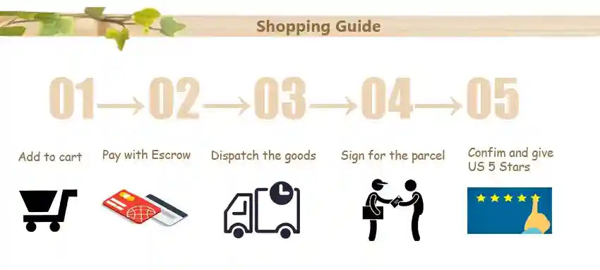 Shopping guide infographic for ionic foot detox machine: steps include ordering, payment, shipping, and 5-star review.