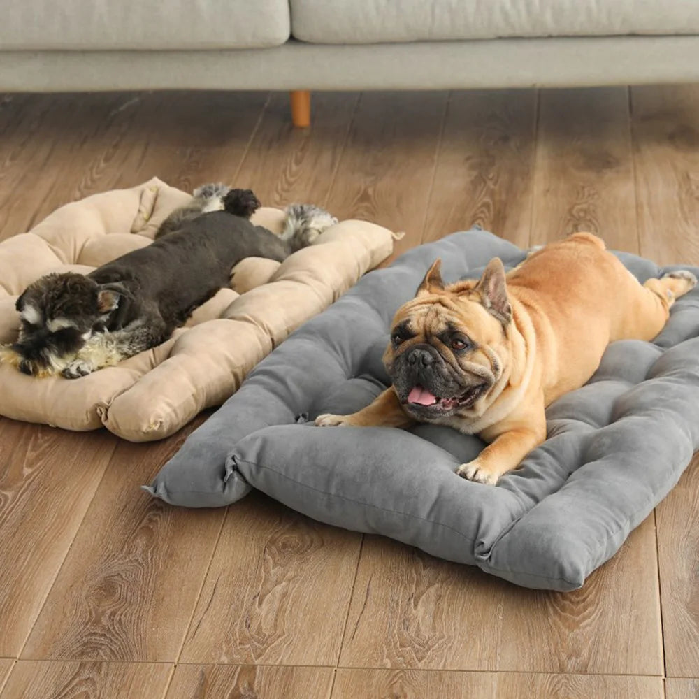 Dogs relaxing on plush, comfortable gray and beige rectangular pet mattress beds for warm winter sleeping.