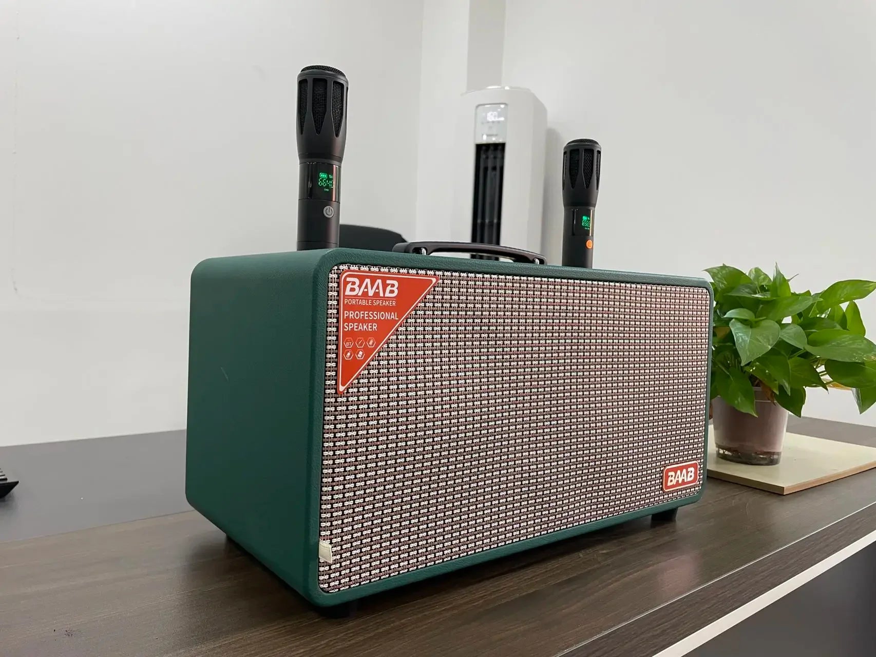 Wireless Wooden Karaoke Speaker with RGB Bass Woofer - Grass Green My Store