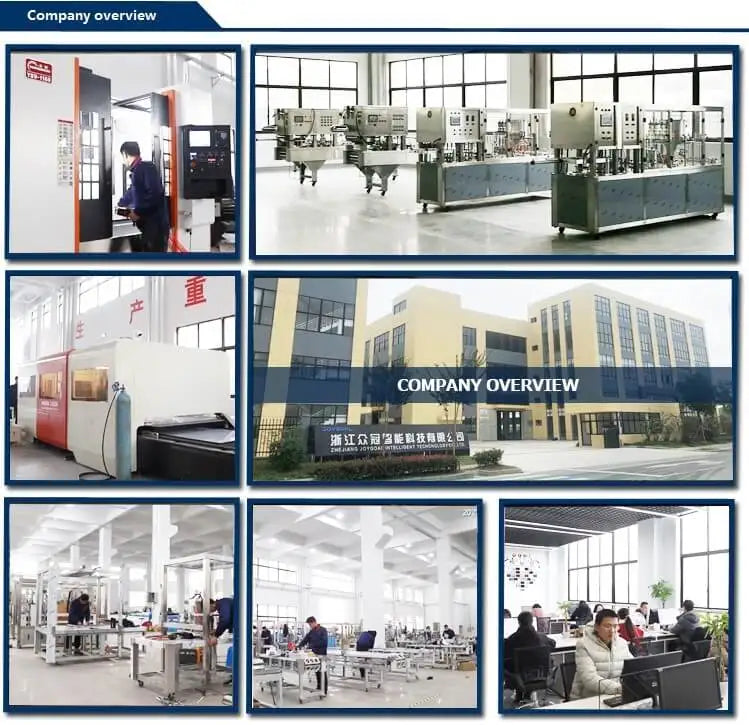 Stainless Steel Automatic Bucket Elevator Conveyor for Ice Cubes & Grain Paper/Plastic Packaging 380V/220V Easy Operation