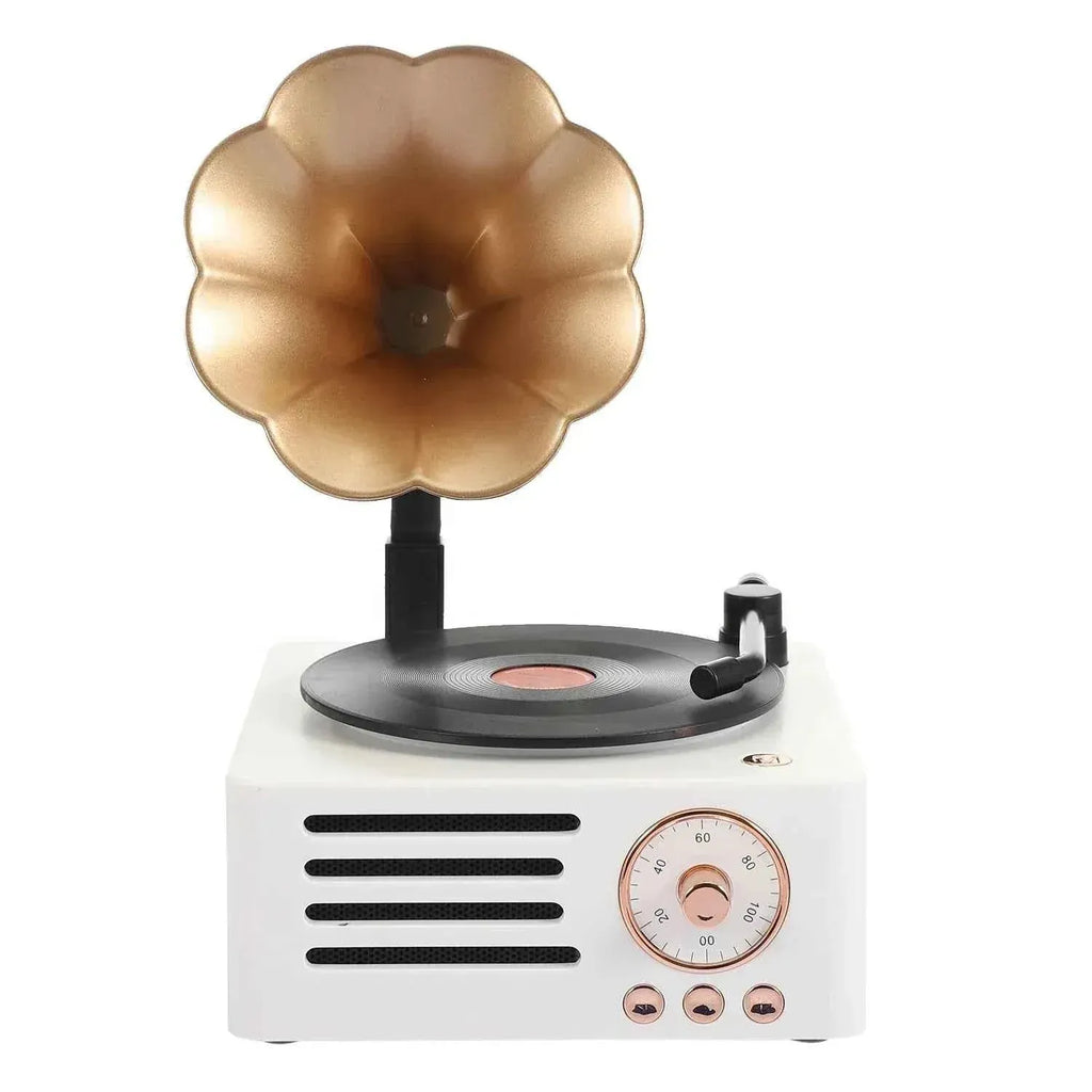 Portable Bluetooth Speaker | Vintage Wireless Vinyl Style Audio My Store