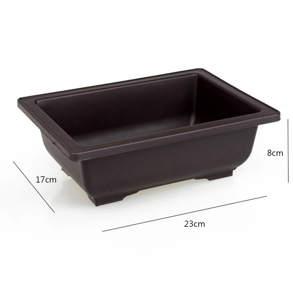 Black rectangular plastic plant pot, 23cm long, 17cm wide, 8cm deep (angled view)