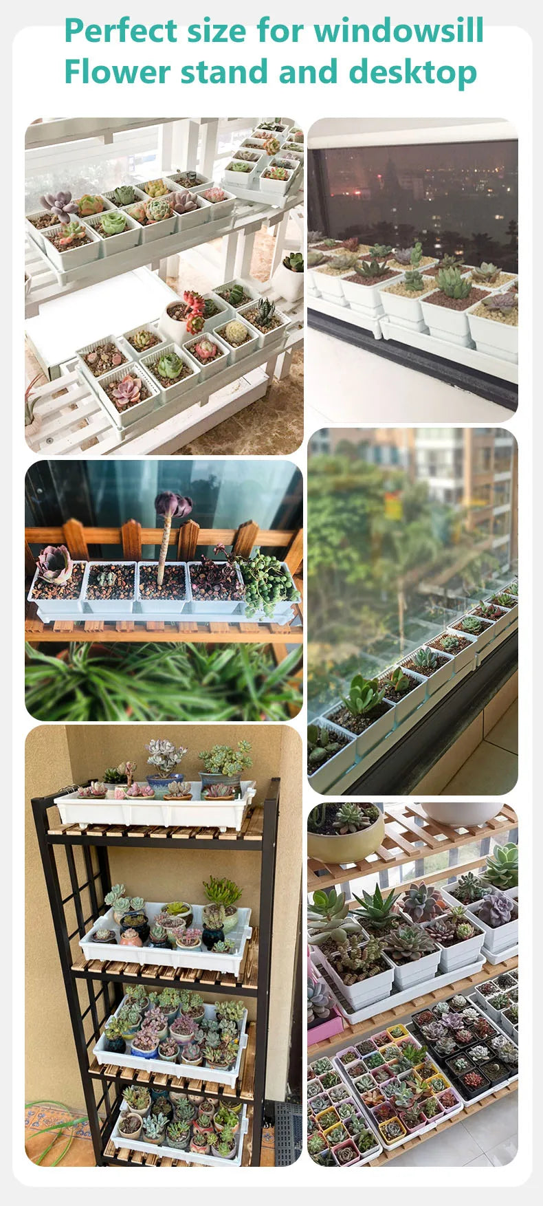 Meshpot Plastic Saucer Plant Tray Flower Pot Storage Rectangle Succulent Pot Tray  in Round Square Shaped for Home Decor