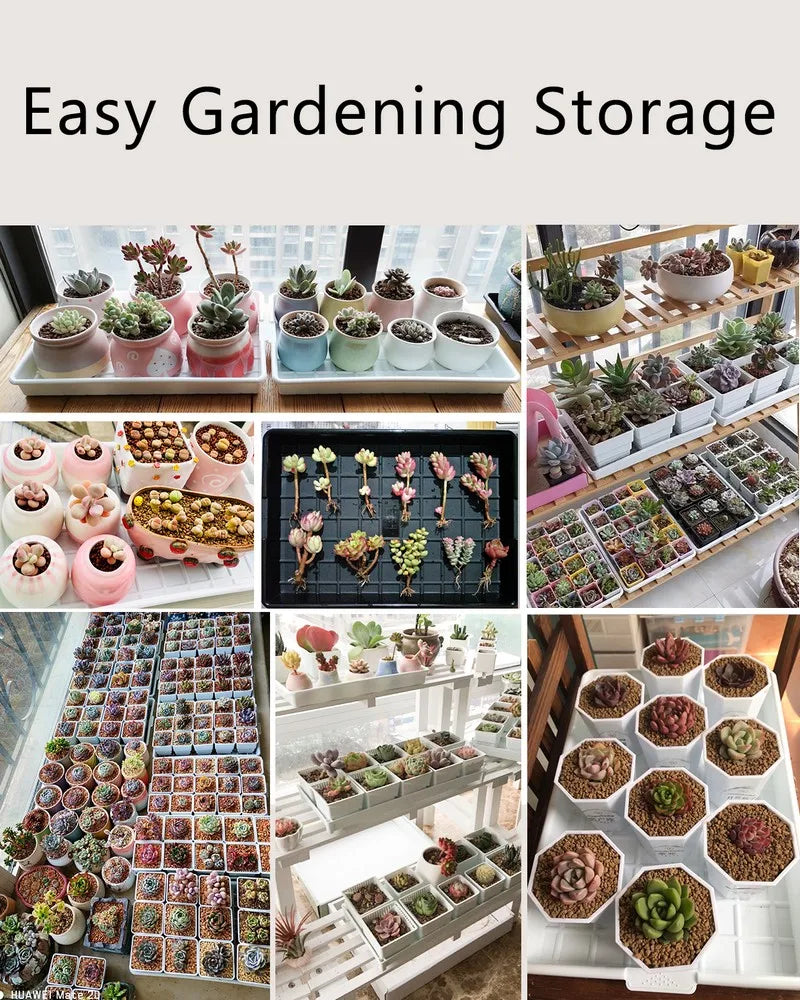 Meshpot Plastic Saucer Plant Tray Flower Pot Storage Rectangle Succulent Pot Tray  in Round Square Shaped for Home Decor