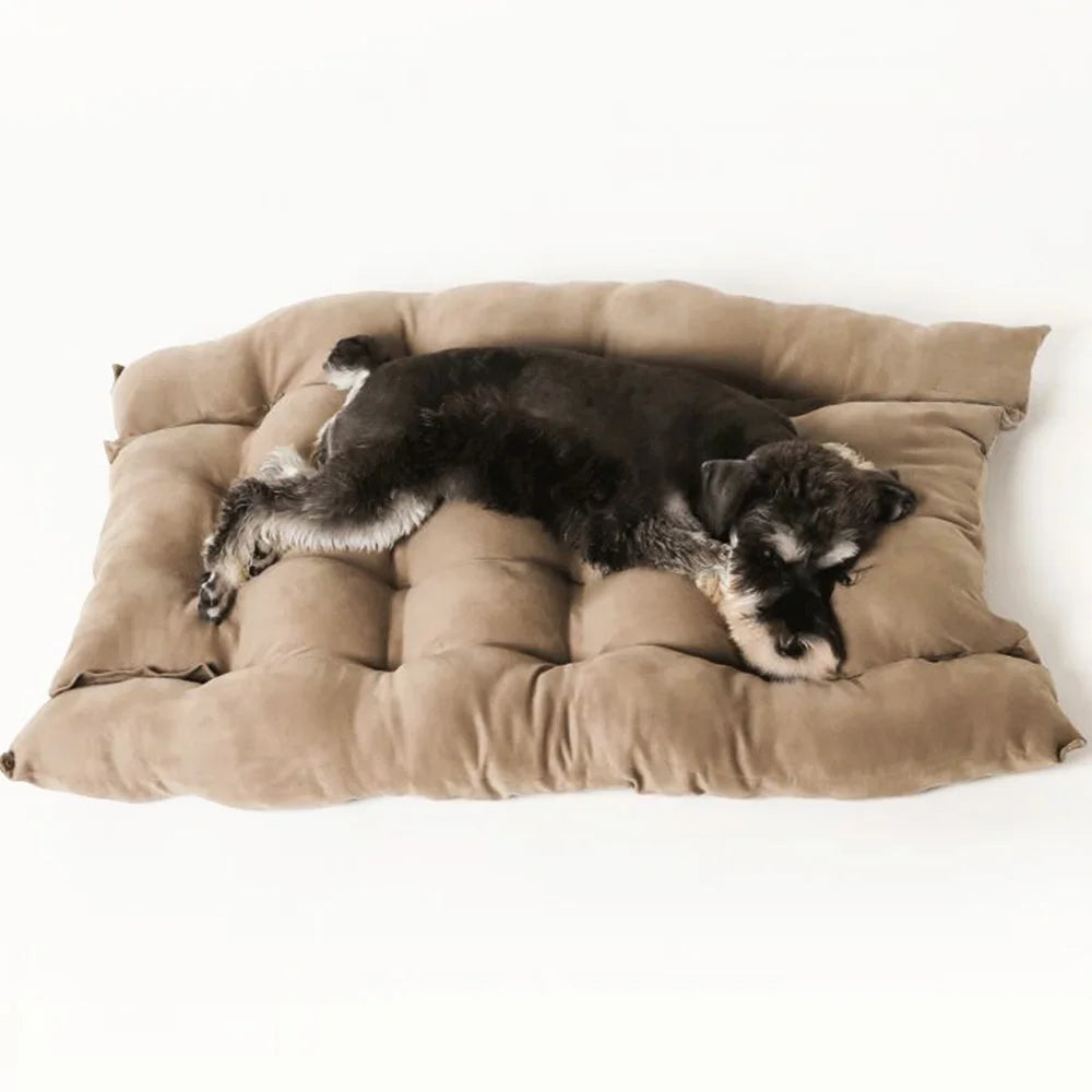 Schnauzer sleeping on a cozy, rectangular brown winter dog mattress for comfortable warmth and support.
