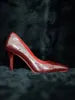 9.5/10.5cm Latin Dance Heels Shoes Pointed Toe Classic Red Sole Stiletto Pumps Jazz Chacha Ballroom Salsa Performance for Women