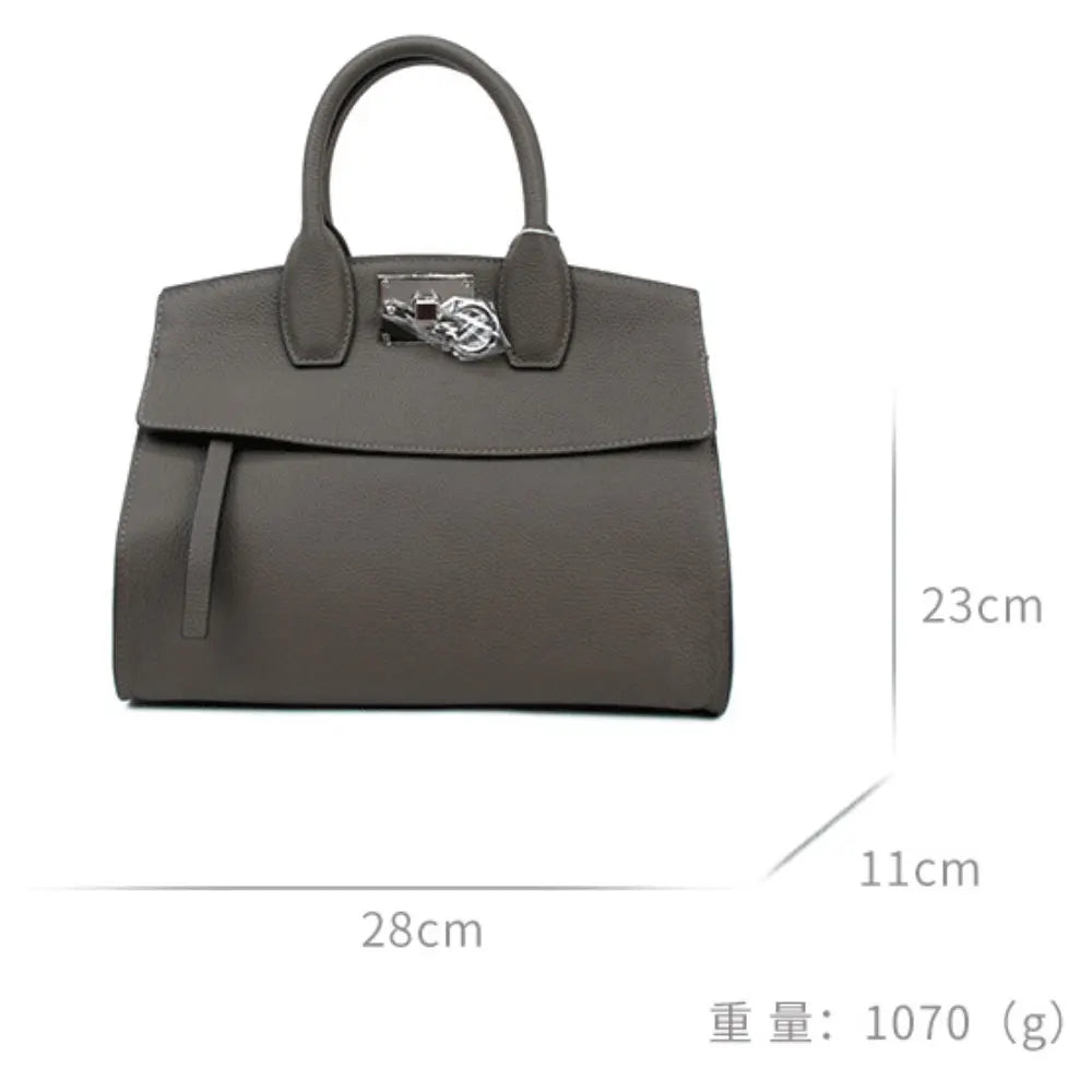 Grey genuine leather luxury tote bag with silver hardware lock and top handles. Elegant designer trunk style handbag.