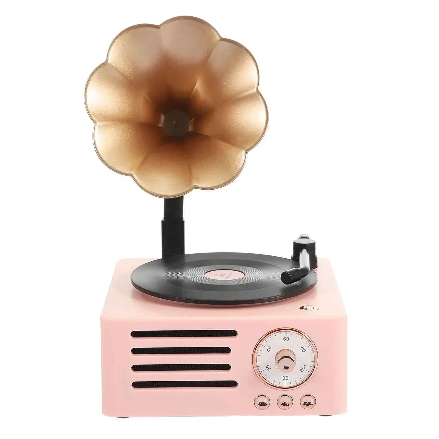 Portable Bluetooth Speaker | Vintage Wireless Vinyl Style Audio My Store