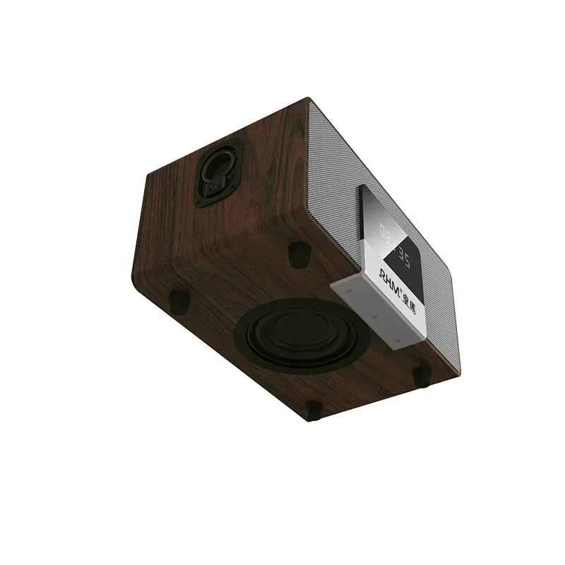 Wireless Karaoke Speaker with Dual Mics and Premium Wood Cabinet My Store