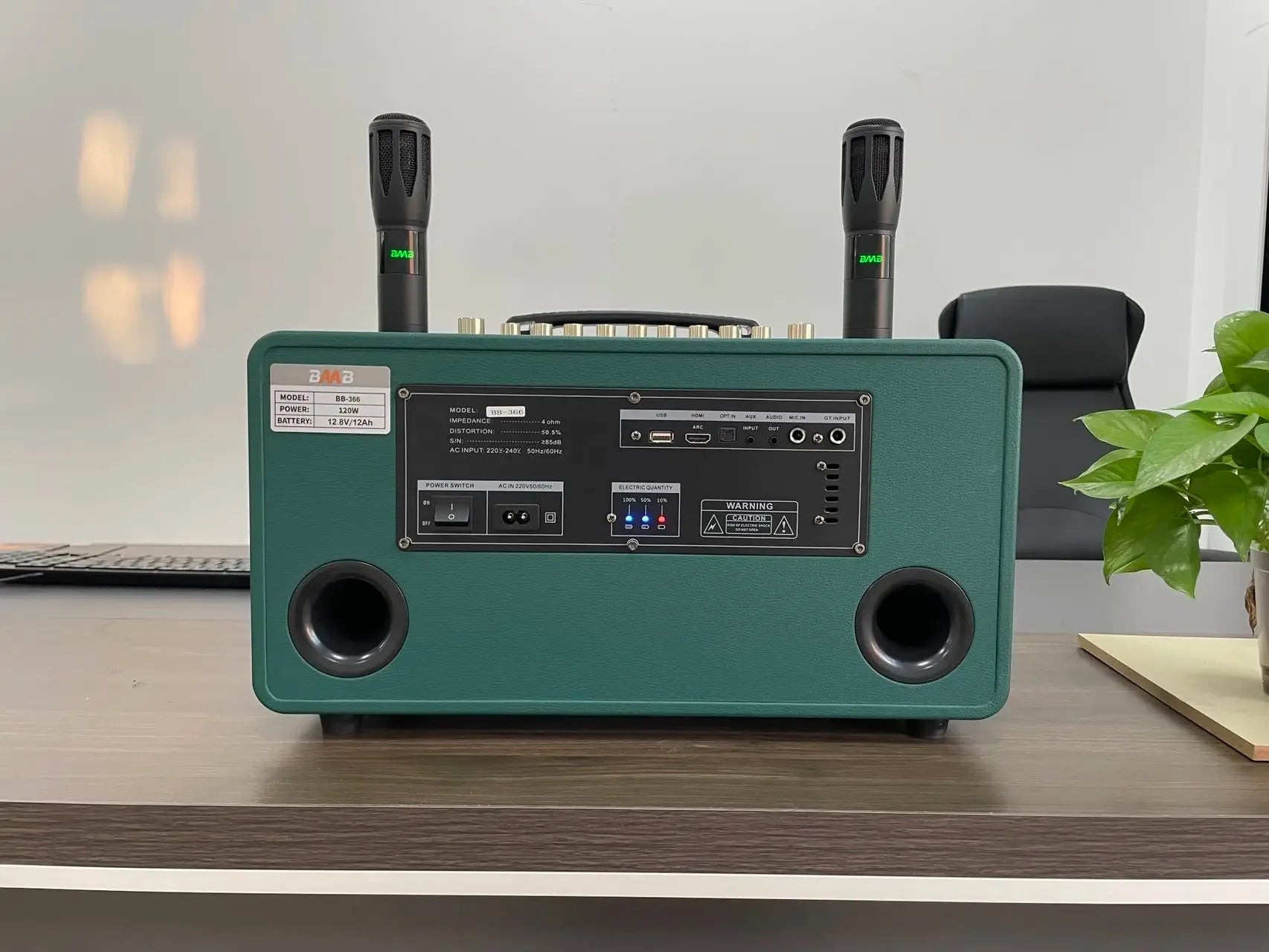 Wireless Wooden Karaoke Speaker with RGB Bass Woofer - Grass Green My Store