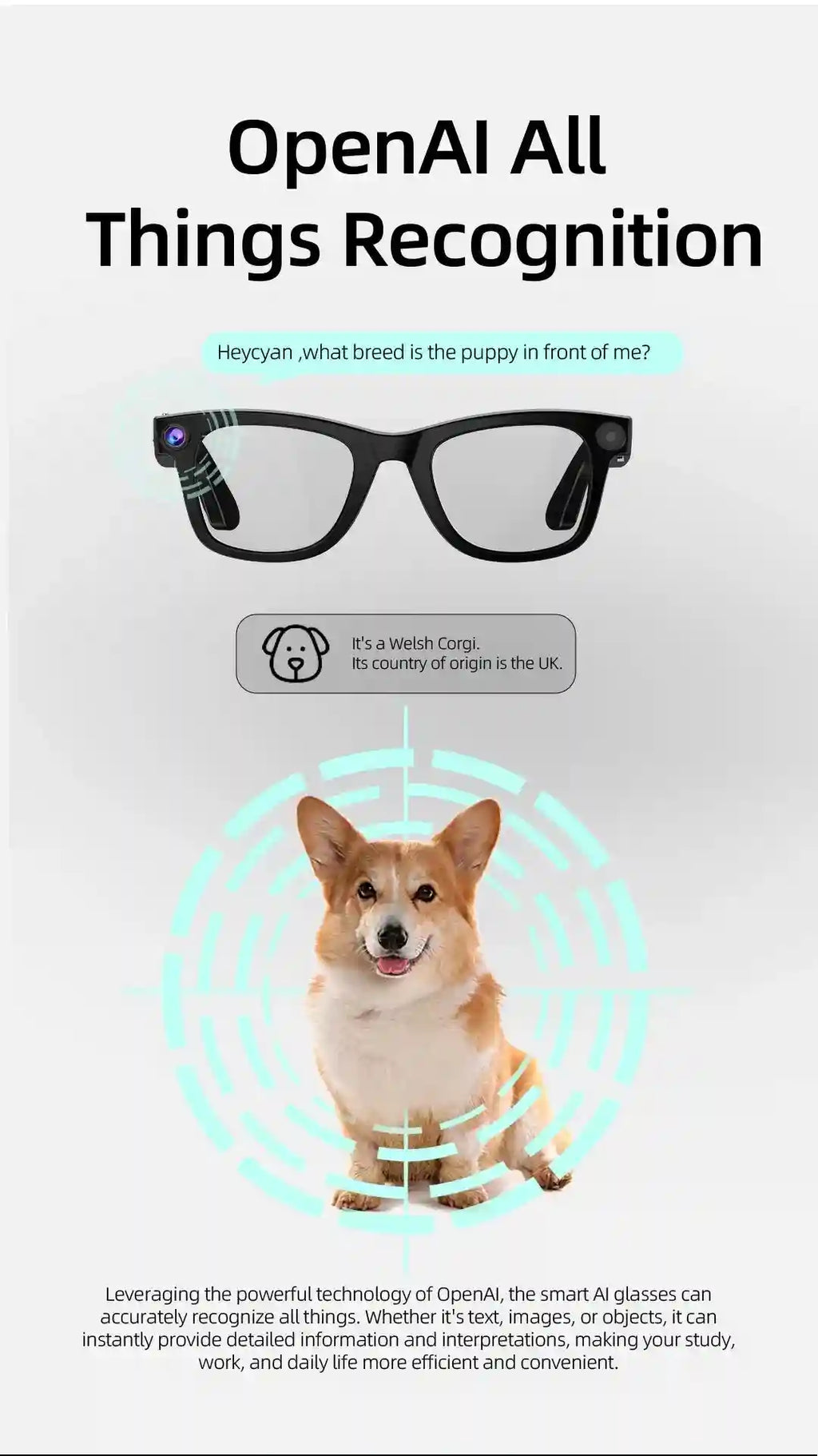Smart Glasses with Integrated Camera, Music and Translation - Tidesmit G300 Tidesmit