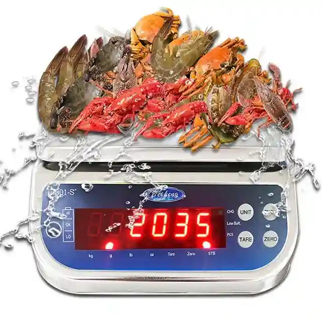 Digital Waterproof Scale IP68 Stainless Steel - App-Controlled Smart Scale Tidesmit