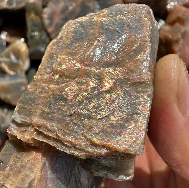 Hot Sale rare Backbone Natural Rough Grid Sun Stone Metro Shower rainbow Crystal Gemstone Raw Sunstones