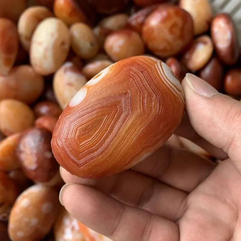 Wholesale Polished Natural Healing Crystals rare Gobi Agate Tibet Heaven Eye Stone Red Agate Palm Stone for Fengshui