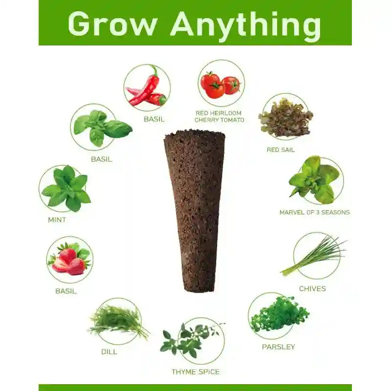 Hydroponic Growing System 12 Pods | 24W Full Spectrum LED Smart Garden Tidesmit