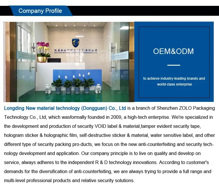 Company profile page with blue header and OEM&ODM text beside an office photo