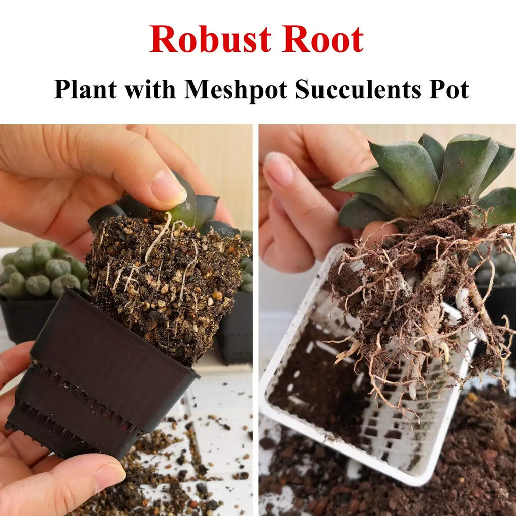 Meshpot 16-Pack Succulents Pots Plastic Flower Pot Plants Container Seedlings Nursery Supplies Home Decoration (Inner Dia. 6CM)