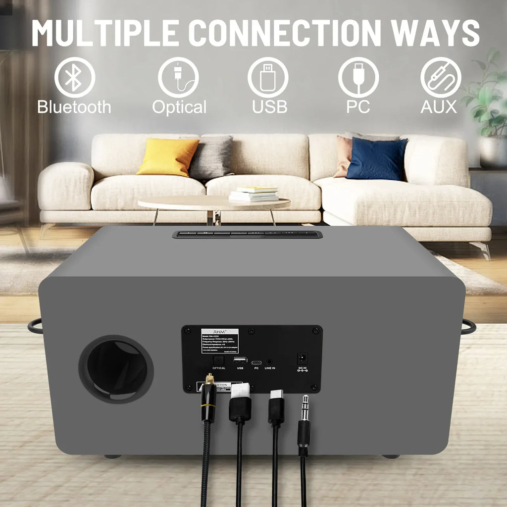 Wireless Karaoke Speaker with Dual Mics and Premium Wood Cabinet My Store
