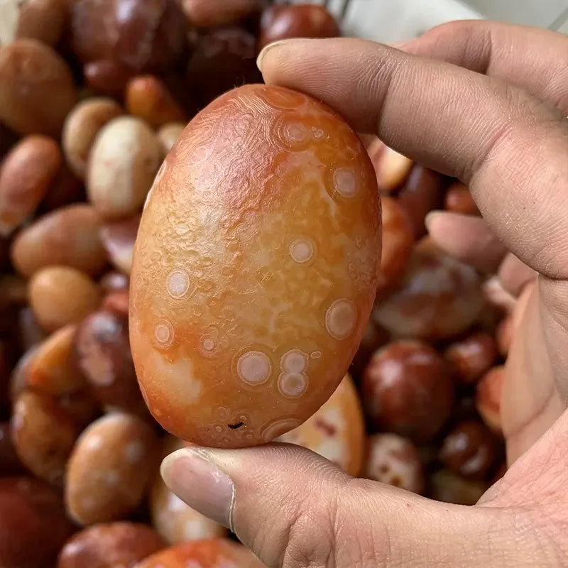 Wholesale Polished Natural Healing Crystals rare Gobi Agate Tibet Heaven Eye Stone Red Agate Palm Stone for Fengshui