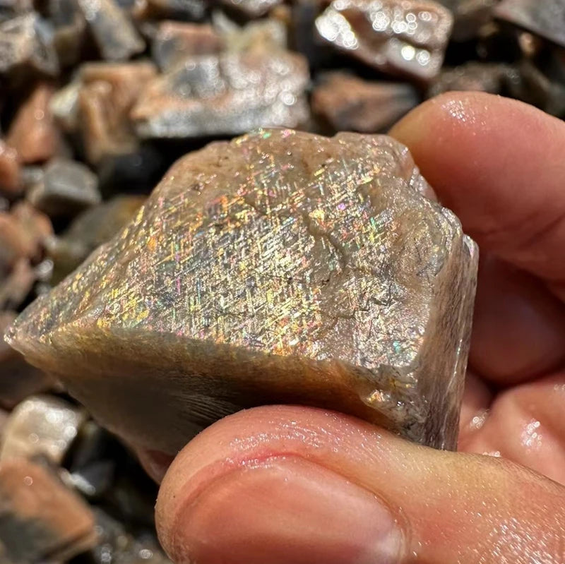 Hot Sale rare Backbone Natural Rough Grid Sun Stone Metro Shower rainbow Crystal Gemstone Raw Sunstones