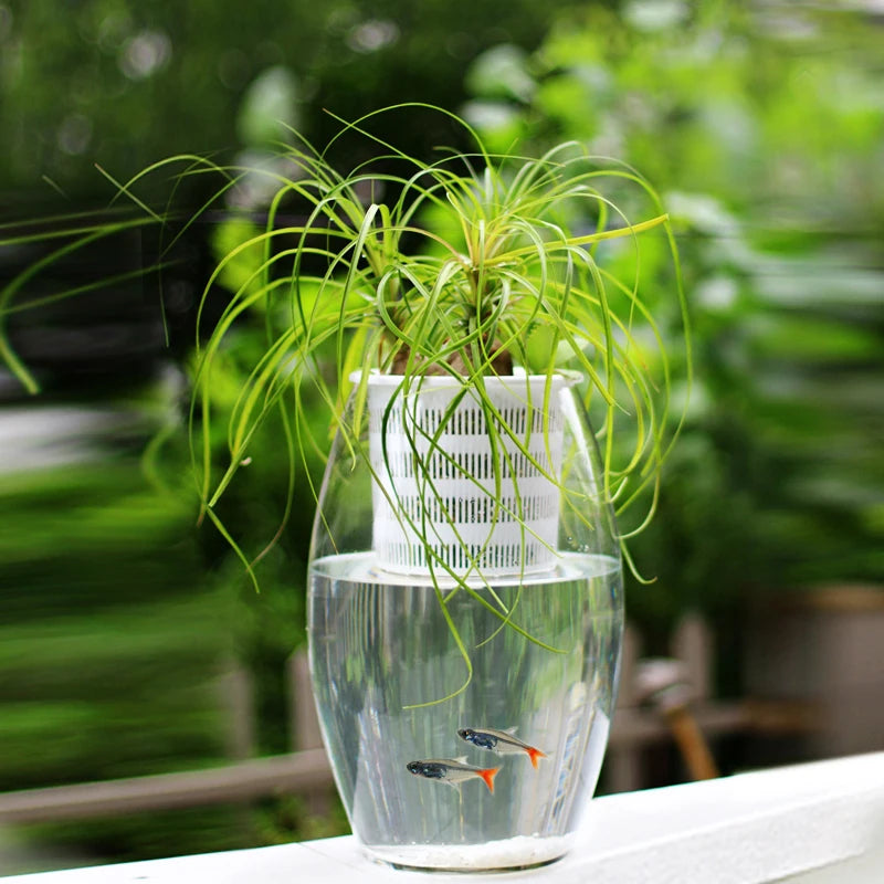 Meshpot 3PCS Colorful Plastic Hydroponics Basket Net Cup Mesh Pot Home Decoration Garden Supplies Flower Pot in 8cm/9cm/10cm