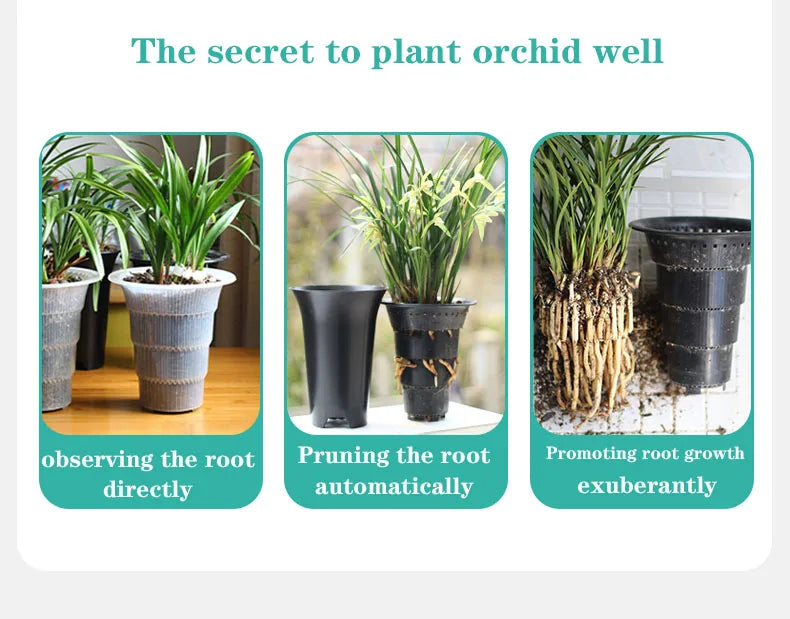 Orchid Pots with Air Holes Cymbidium Planter High Waist Plastic Flower Pot Excellent Drainage Garden Kits Double Layer Durable