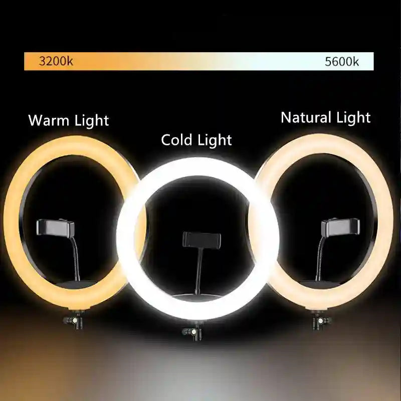 Three circular LED ring lights for photography with adjustable color temperatures ranging from warm to cold light.