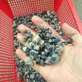 Hand holding mixed rough blue sapphire crystal raw gemstone pieces