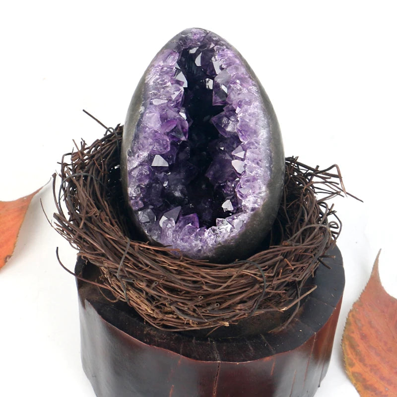 Amethyst crystal geode egg in a twig nest, purple crystal interior visible