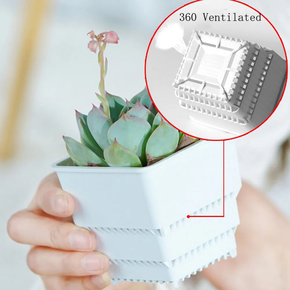 Meshpot 16-Pack Succulents Pots Plastic Flower Pot Plants Container Seedlings Nursery Supplies Home Decoration (Inner Dia. 6CM)