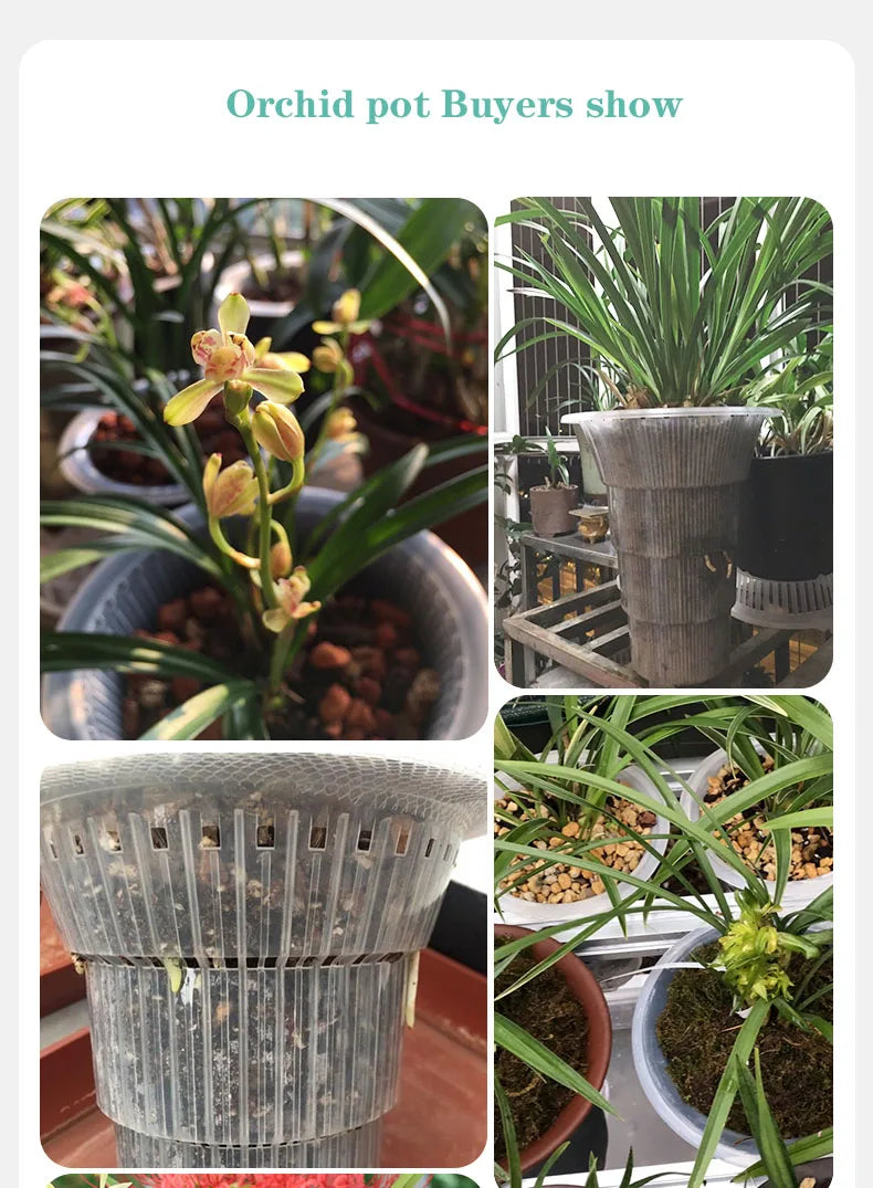 Orchid Pots with Air Holes Cymbidium Planter High Waist Plastic Flower Pot Excellent Drainage Garden Kits Double Layer Durable