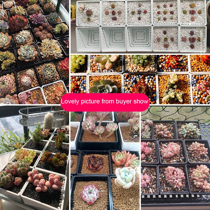 Meshpot 16-Pack Succulents Pots Plastic Flower Pot Plants Container Seedlings Nursery Supplies Home Decoration (Inner Dia. 6CM)