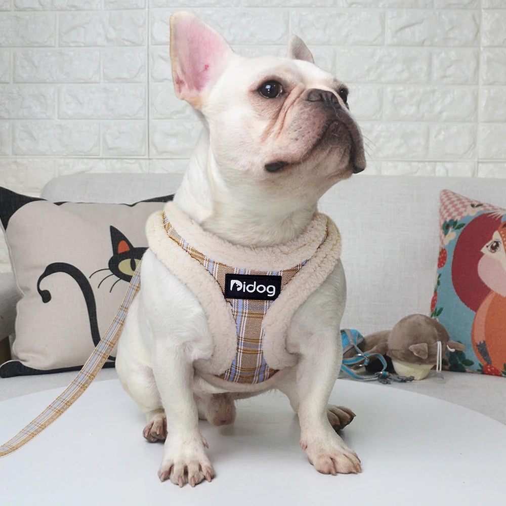 French Bulldog wearing a warm, soft plaid winter vest harness with a matching leash for comfortable, no-pull walking.