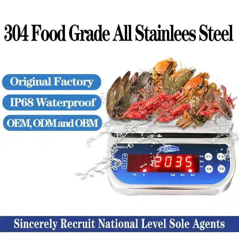 Digital Waterproof Scale IP68 Stainless Steel - App-Controlled Smart Scale Tidesmit