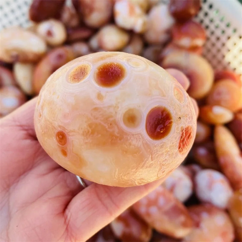 Wholesale Natural Healing Crystals rare Gobi Agate Tibet Heaven Eye Stone Red Agate Palm Stone