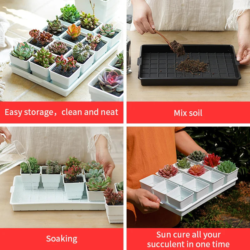 Meshpot Plastic Saucer Plant Tray Flower Pot Storage Rectangle Succulent Pot Tray  in Round Square Shaped for Home Decor
