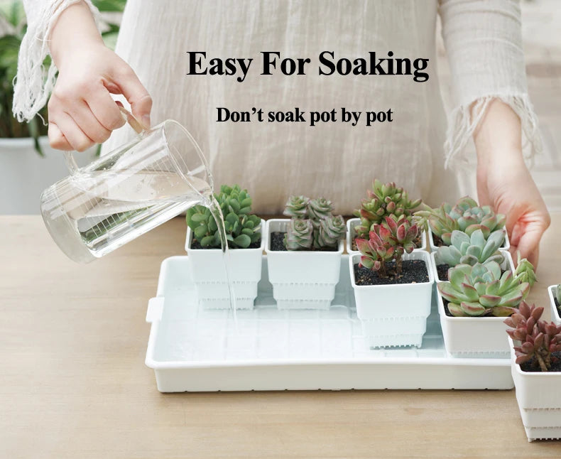 Meshpot Plastic Saucer Plant Tray Flower Pot Storage Rectangle Succulent Pot Tray  in Round Square Shaped for Home Decor