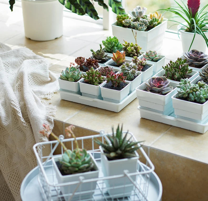 Meshpot Plastic Saucer Plant Tray Flower Pot Storage Rectangle Succulent Pot Tray  in Round Square Shaped for Home Decor