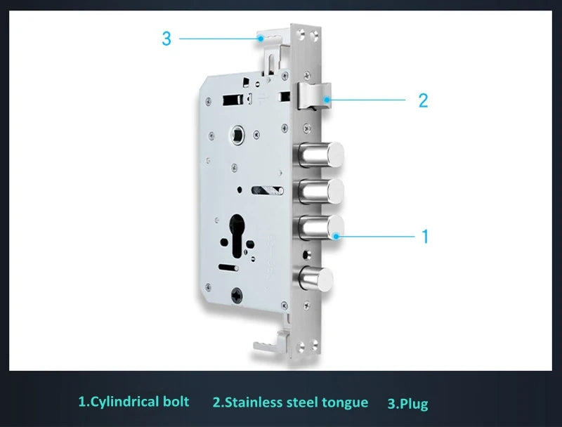 EGFirtor Metal Stainless Steel Electronic Lock Body Fingerprint Lock 240X24MM Square Bolt And Cylindrical Bolt